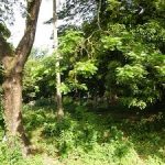 Государственная экологическая инспекция Украины увеличивает контроль в лесах и ПЗФ до окончания «сезона тишины»