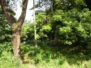 Государственная экологическая инспекция Украины увеличивает контроль в лесах и ПЗФ до окончания «сезона тишины»